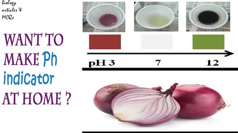 Onion Juice Indicator