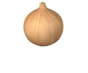 Onion Layers Animation