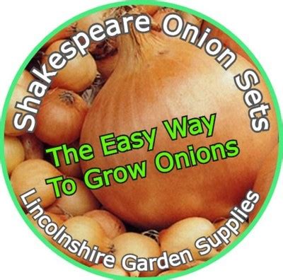 Onion Sets On Ebay