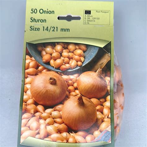 Onion Sets Sturon