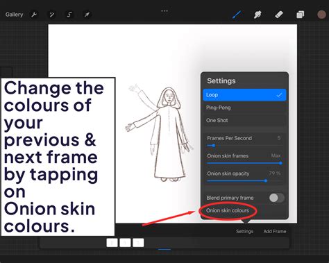 Onion Skin Frames Procreate