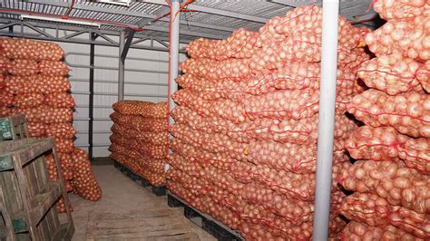 Onion Storage Facility