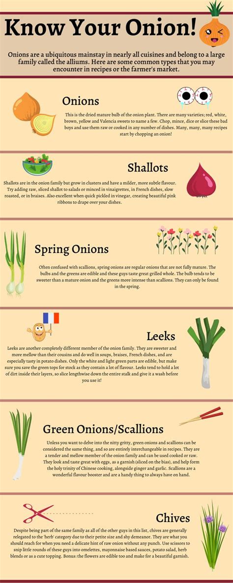 Onions Explained