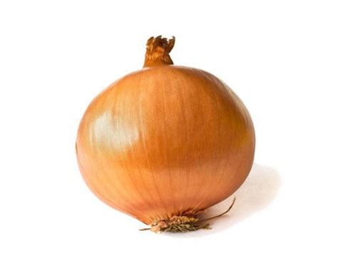 Onions Protein