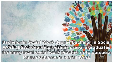online bachelor's degree in human social work