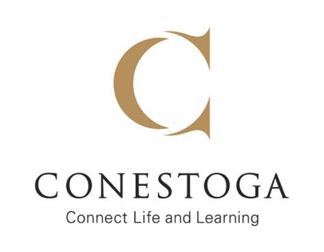 Online Business Courses At Conestoga College: A Path To Success