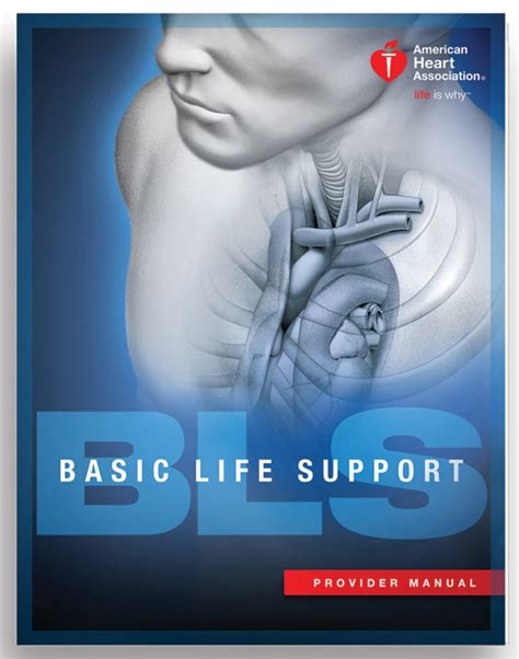 online cpr bls for healthcare providers
