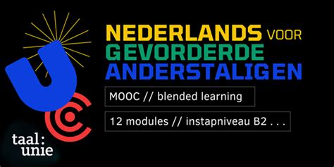 online cursus nederlands voor anderstaligen