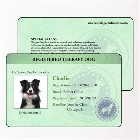 Online Dog Behavior Certification