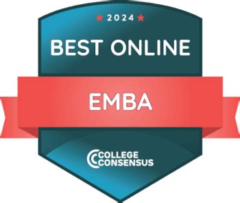 5 Online EMBA Tips