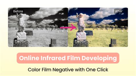 Online Film Developers