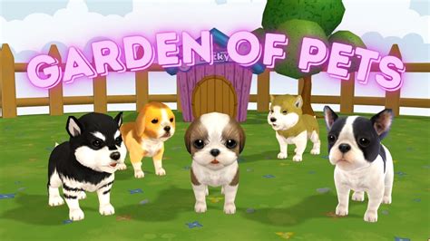 Online Pet Game