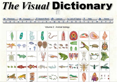 online visual dictionary