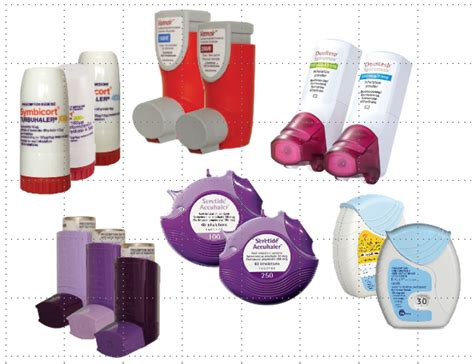 only preventer nicky