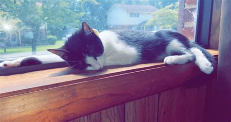 onlyfans ally onlyfans blevins