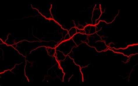 onlyfans nikole bora onlyfans