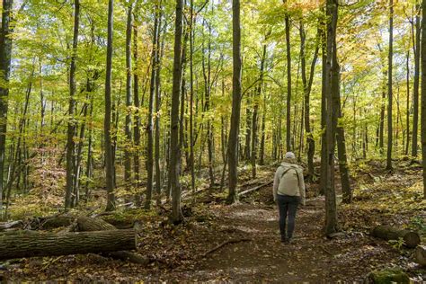 10 of the Best Hiking Trails Near Ottawa Explore Magazine