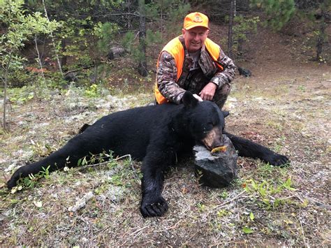 ontario canada bear hunting