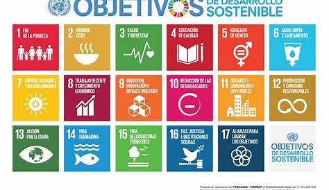 🌍 ¿Qué son los Objetivos de Desarrollo Sostenible?