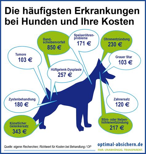 Hunde OP Versicherung im Vergleich schon ab 6,90 € VS.