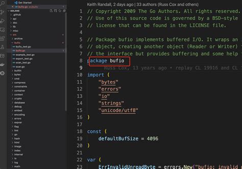 Open File Descriptor Golang