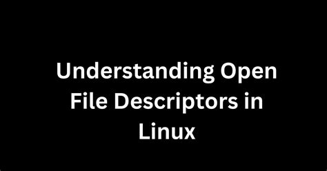 Open File Descriptors For A Process In Linux