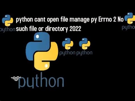 Open File In Python No Such File Or Directory