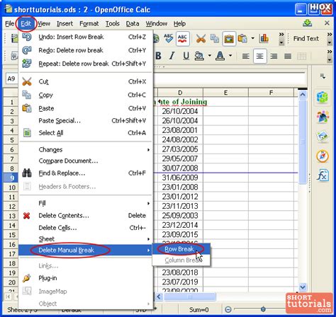 Open Office Remove Page Break