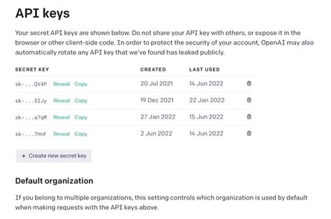 openai api key sample