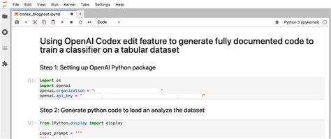 openai codex documentation