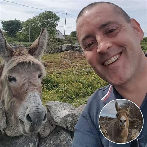 Opera Donkey Ireland