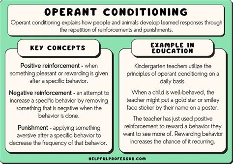 Operant Conditioning Definition And Examples