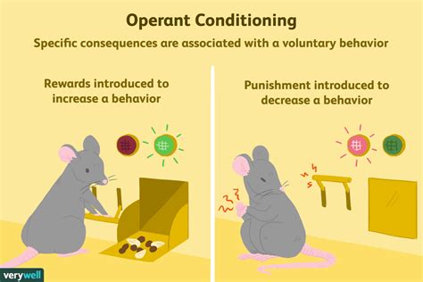 operant conditioning meaning in urdu with example