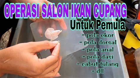 Operasi Ikan
