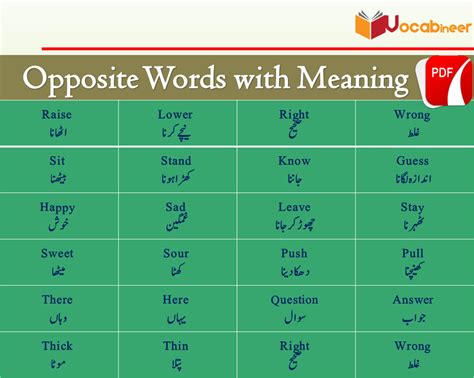 opposite meaning in urdu with examples