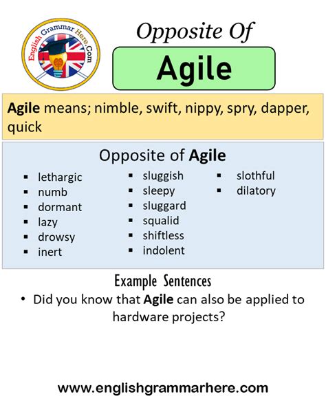 Opposite Of Agile