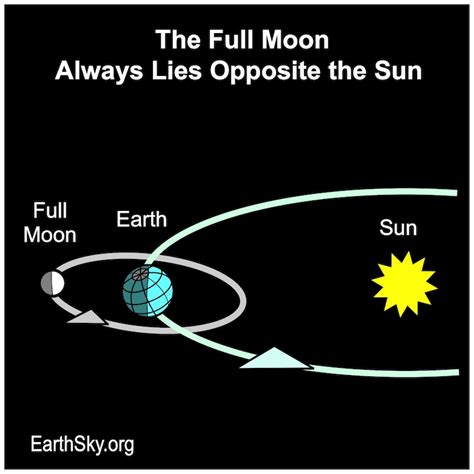 Does the Moon Really Make You Crazy? Part 1 SiOWfa15 Science in Our