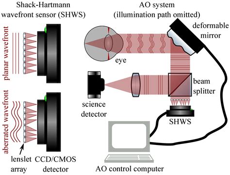 Optical Coherence Tomography Imaging