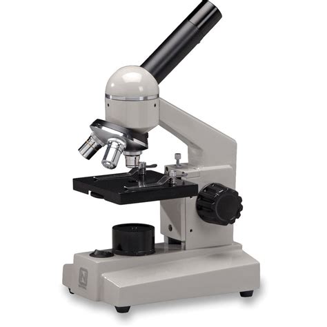 Optical Compound Microscope