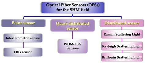 Optical Fibre Sensor Network