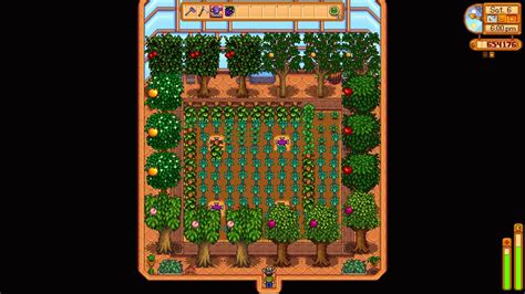 Optimal Greenhouse Setup Stardew