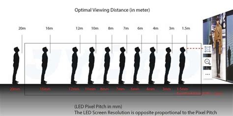 optimal viewing adventure