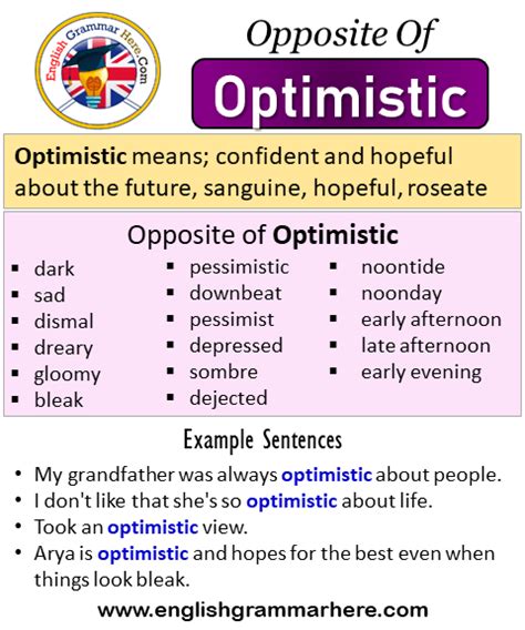 optimistic definition synonyms and antonyms