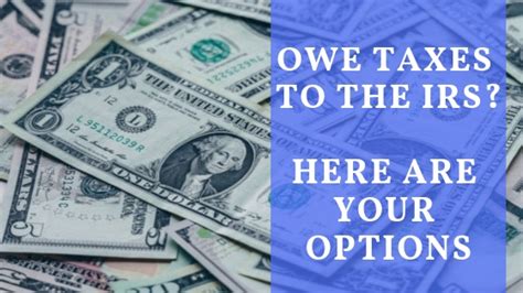 options for paying taxes owed to irs