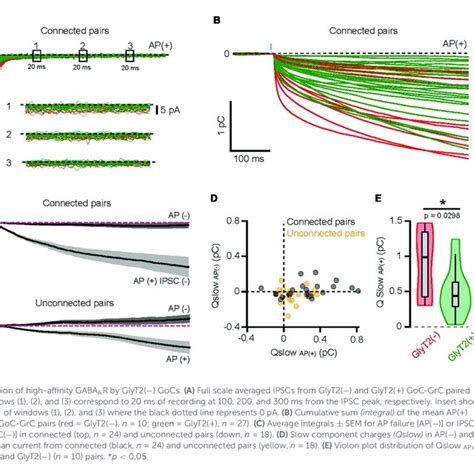 Optogenetic Grc
