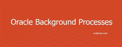 Ensuring a Secure Workforce: The Importance of Conducting Oracle Background Checks