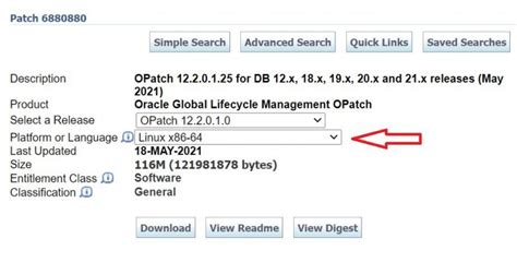 oracle grid infrastructure 19c patching