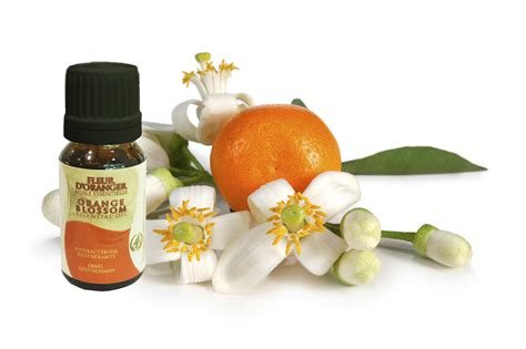 Orange Blossom Fragrance Oil 1/2 oz (15 mL) Health