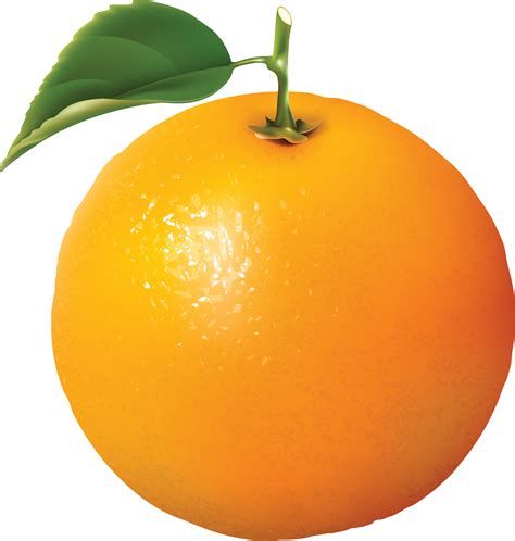 orange & lemons band