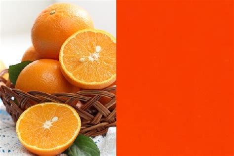 orange atau oranye kbbi